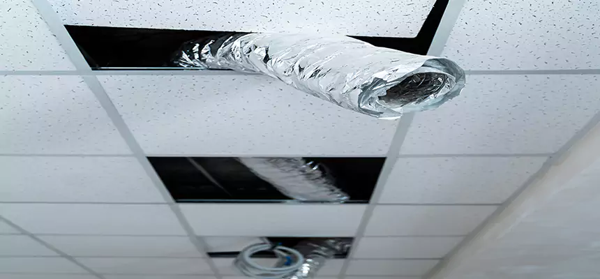 Our Air Duct Pet Hair Removal Services in Bayshore Gardens, FL