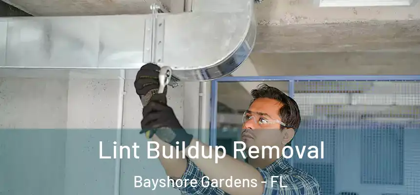 Lint Buildup Removal Bayshore Gardens - FL