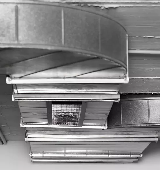 Professional Air Duct Pet Hair Removal in Bayshore Gardens, FL