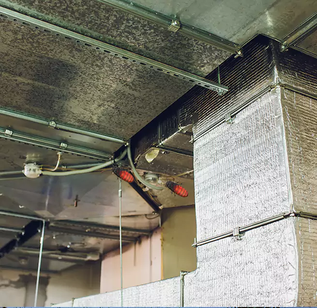 Why Homeowners & Businesses Trust Us in Bayshore Gardens, FL?